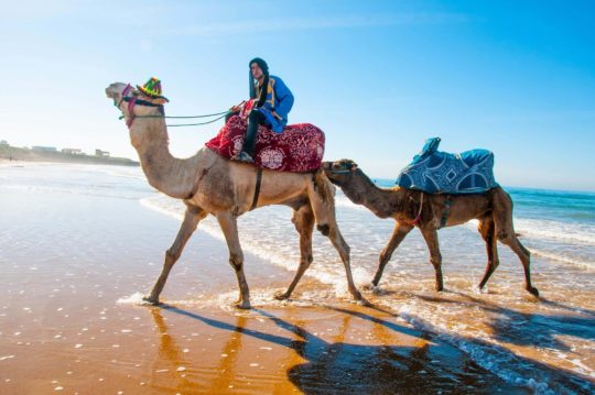 Last Minute Marokko-Urlaub