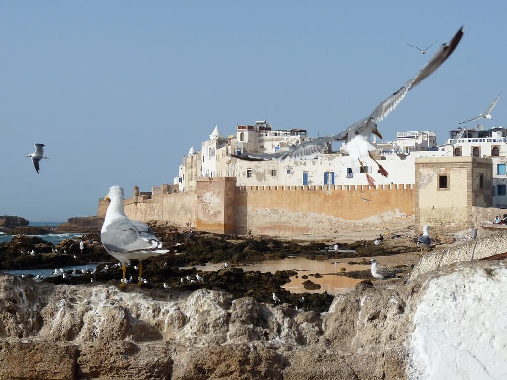 Essaouira Tagesausflug