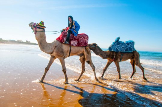 Morocco Surf Camp Taghazout, Tamraght Surf House